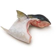 Hamachi Fish Collar (Yellowtail Fish Collar) 230-260gm/pc