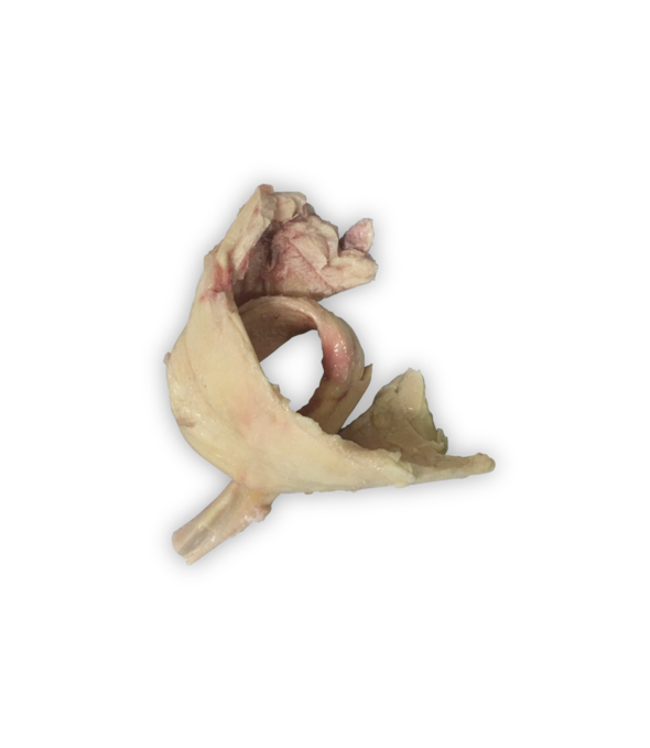 Frozen Beef Ligament 500gm